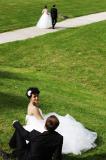 Les Maries meme 12 * 5616 x 3744 * (7.92MB)